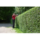 Balanser do nożyc - ELEPHANT’S TRUNK