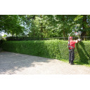 Balanser do nożyc - ELEPHANT’S TRUNK